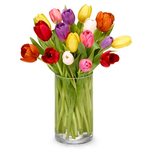 A Bouquet of Rainbow Tulips in a Glass Vase with Card Message