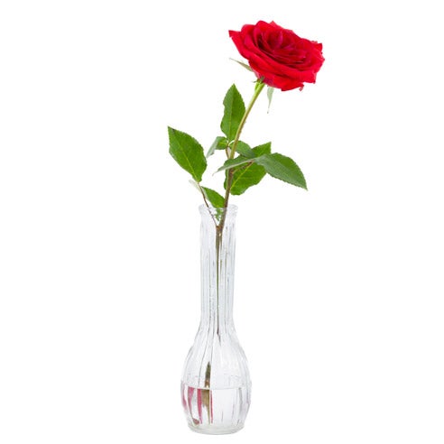 A Bouquet of 1 Long-Stemmed Red Rose in a Small Bud Glass Vase with Card Message