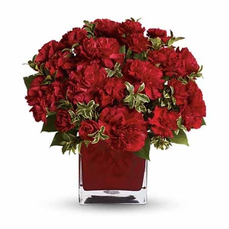 Precious Love Red Carnation Bouquet At Send Flowers