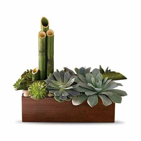 Succulents, River Rocks and River Canes on a Bamboo Container