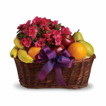 Pink Azalea Plant with Apples, Oranges, Pears and Bananas in a Basket