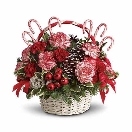 A bouquet of Candy Canes Red And White Carnations, Lush Green, Red Berries, Pinecones and Red Carnations in a Wicker Basket with Red Ribbons