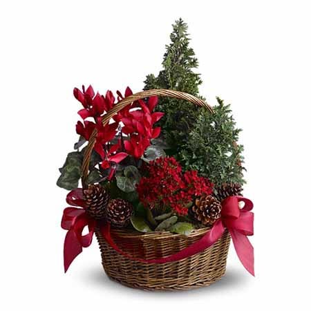 Tannenbaum Basket