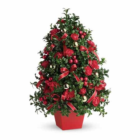 Small Tree Delivery that includes Greenery and ribbons in a red pot