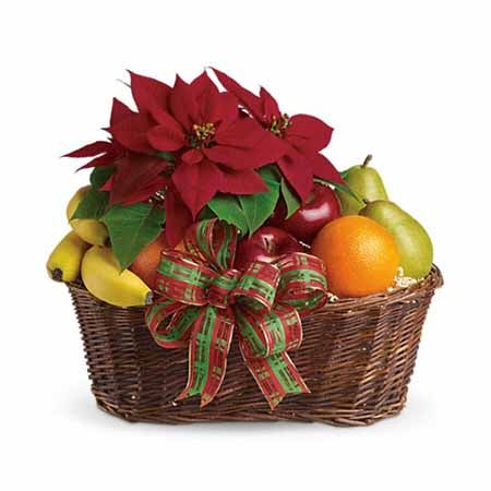 Red Poinsettia Plant with Apples, Bananas and Oranges in a Woven Container with Holiday-Themed Bow