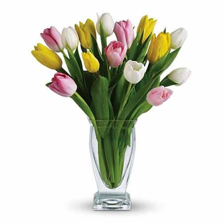Tulip Bouquet delivery and tulips delivery from send flowers in glass vase