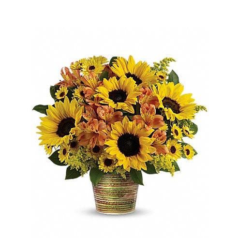 Sunflower planter delivery and sunflower plant delivery online