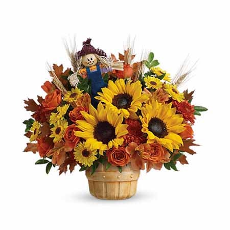 sunflower planter and potted sunflower plant delivery for grandma gift delivery
