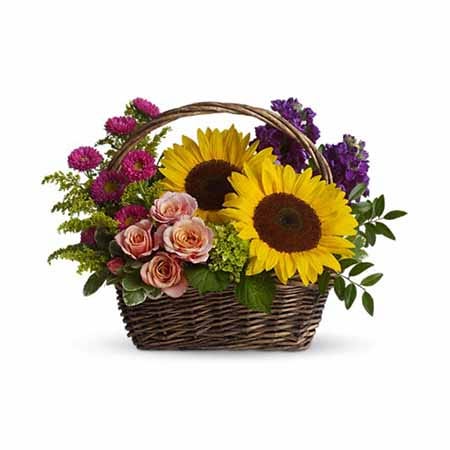 Mixed sunflowers, purple stock, green hydrangea and peach rose basket bouquet