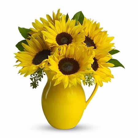 Yellow sunflower pitcher flower bouquet with yellow water pitcher and sunflowers