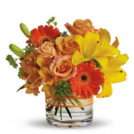 Orange roses with cheap flower delivery from Send Flowers