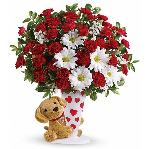 Red Spray Roses, Red Mini Carnations, White Daisy Spray Mums, and White Sinuata Statice in a Vase with Decorative Hearts Design with Soft Toy Puppy