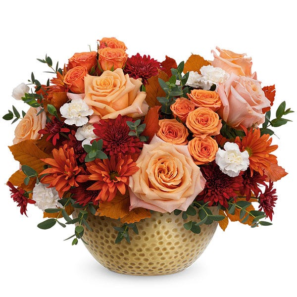 Warm Autumn Blooms