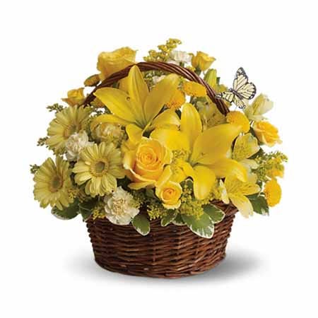 Basket Full of Wishes