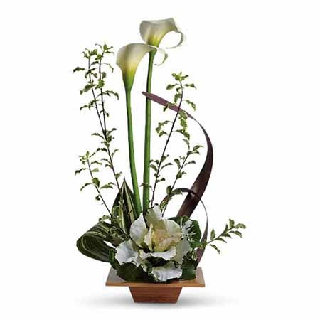 Father's Day gift delivery white topiary arrangement for free flower delivery
