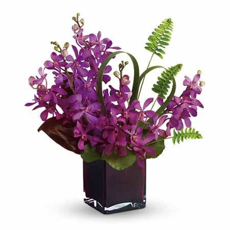 Mokara orchids delivery, beautiful purple mokara orchid bouquet, purple orchids