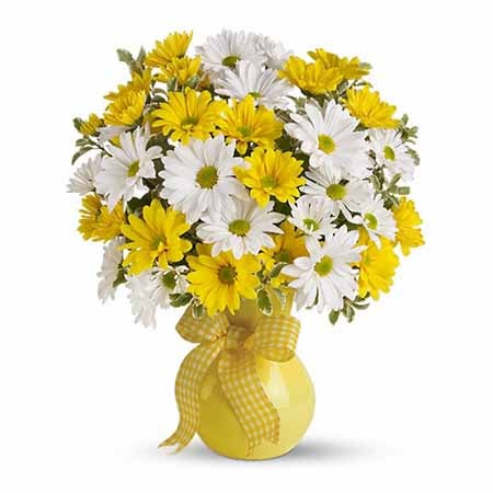 A bouquet of Daisy Spray Chrysanthemums, Assorted Greens on a Yellow Vase with a Yellow Gingham Ribbon