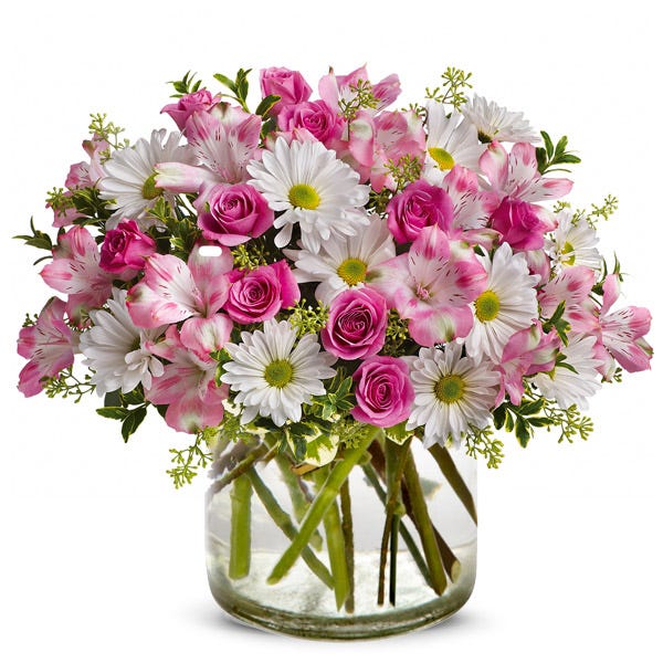 Sweet Daisy Daydreams