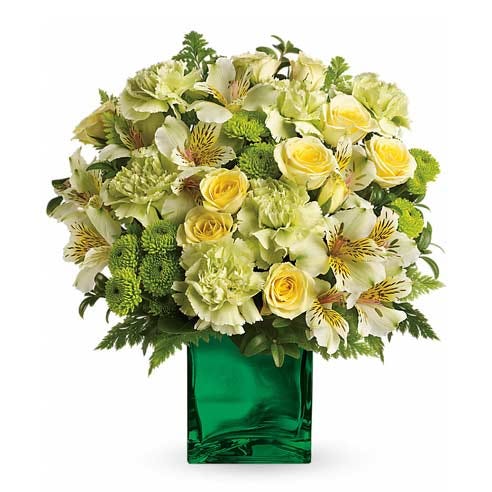 Pale green flower bouquet with cheap flowers, light green carnations and light yellow roses delivery