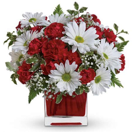 Red and white daisy bouquet for you to send flowers online