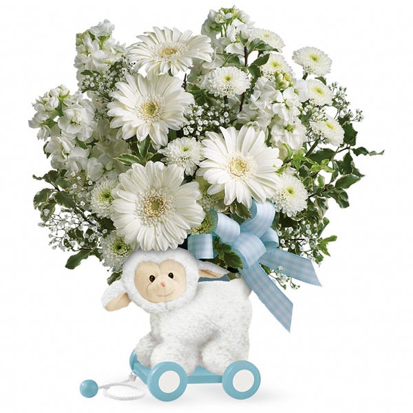 Send flowers has flowers for new baby and new baby flowers