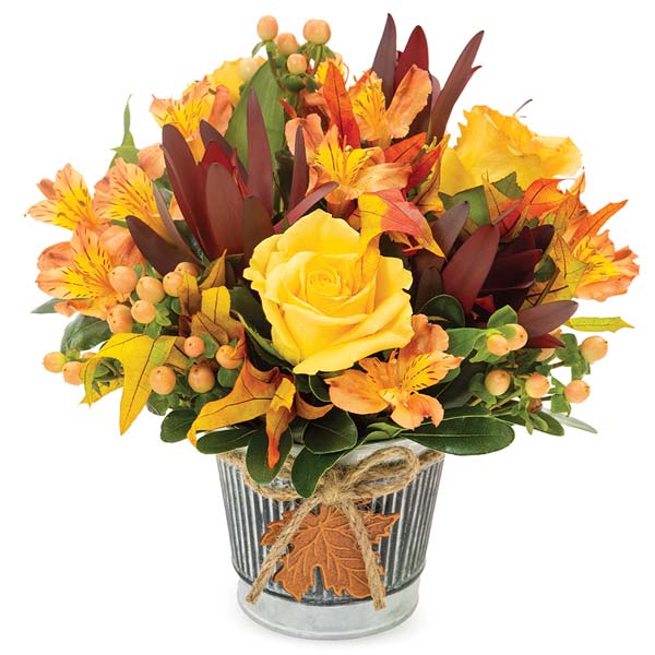 Happy Harvest Rose Basket At Send Flowers