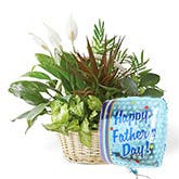 Father's Day Dish Garden Balloon Gift