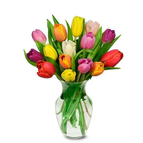 15 Rainbow Tulips Bouquet at Send Flowers