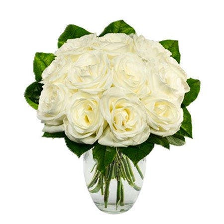 One Dozen White Roses