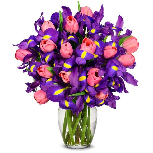 Precious Pink Tulip & Iris Arrangement - Deluxe