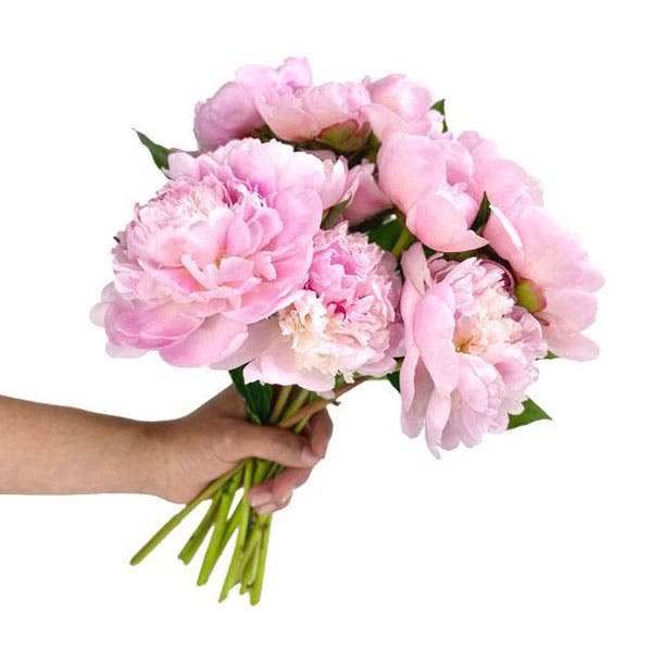 Precious Pink Peonies - 10 Stems