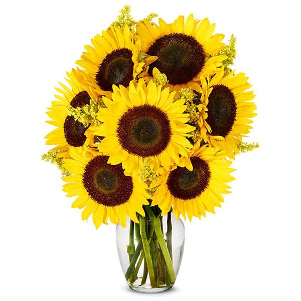 Summer Sunflower Bouquet