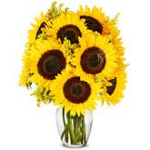 Summer Sunflower Bouquet - Premium