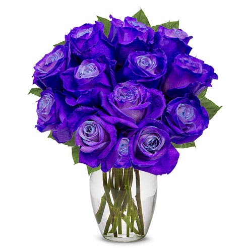 One Dozen Deep Purple Roses