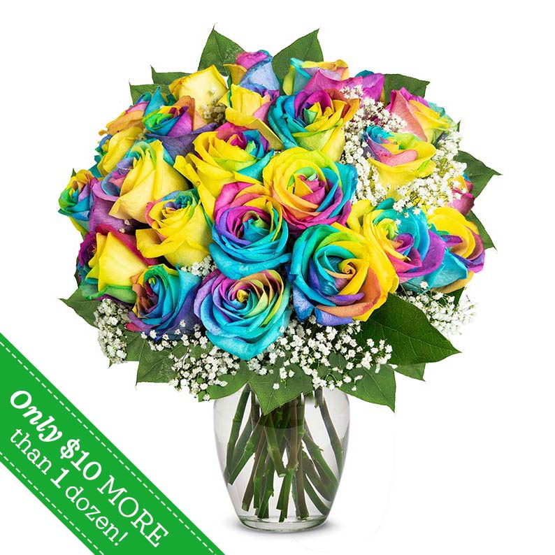 Two Dozen Wild Rainbow Roses at Send Flowers