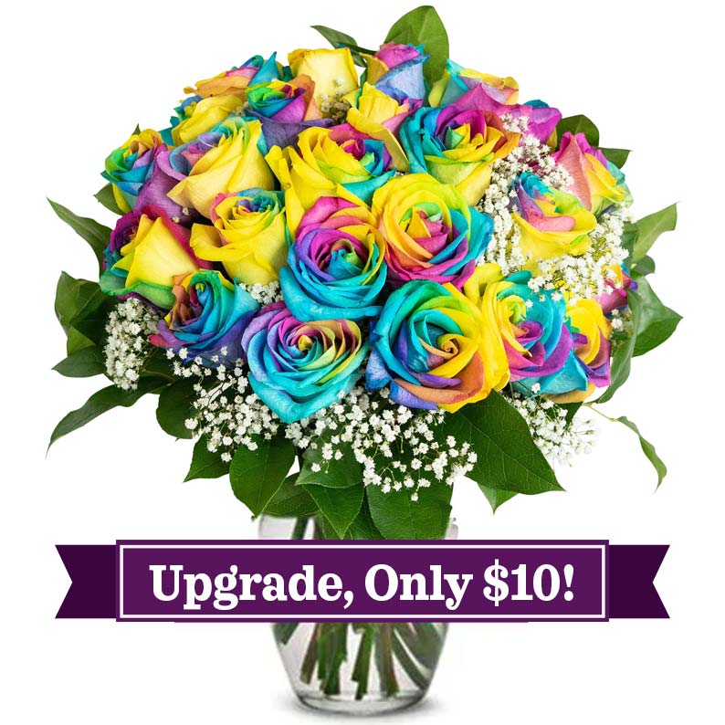 Two Dozen Wild Rainbow Roses at Send Flowers