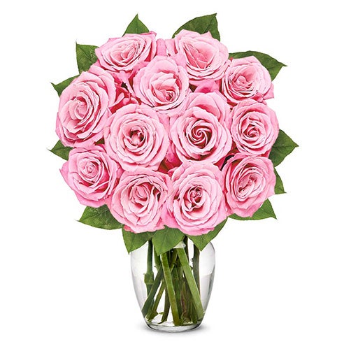 One Dozen Light Pink Roses at Send Flowers