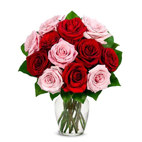 One Dozen Pink and Red Roses at Send Flowers