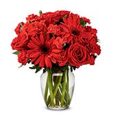 Red Gerbera Daisy Bouquet