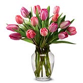 Perfetta Pink Tulips Bouquet
