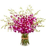 Pink Orchids Bouquet