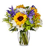 Fun in the Sun Sunflower Bouquet