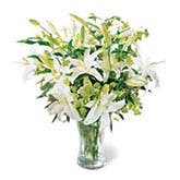 Pearly Splendor White Lily Bouquet