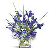 Wondrous Iris and Hydrangea Bouquet