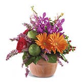 Luxury Gerbera Daisy Bouquet