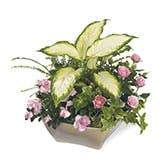 Peaceful Wishes Planter
