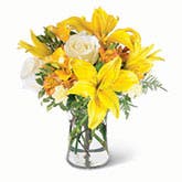 Positivity Bouquet