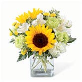 Contemporary Sunshine Arrangement