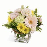 Dreamy Daisies Bouquet
