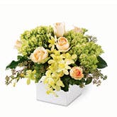 Luminous Charm Orchid Bouquet